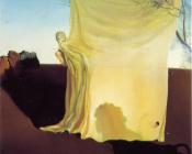 萨尔瓦多 达利 : 相配的感觉